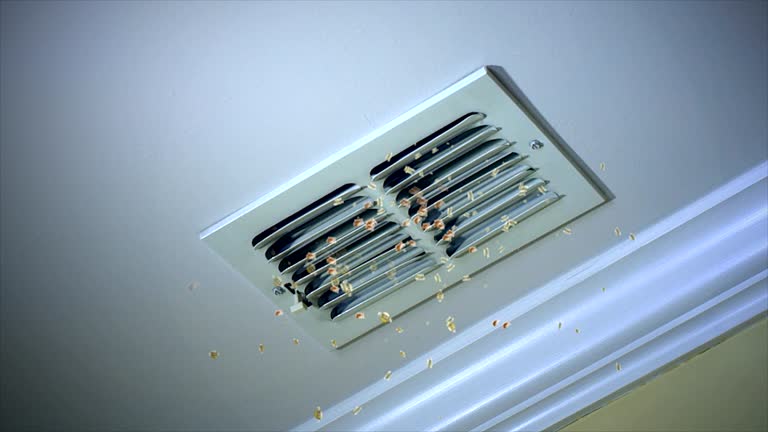 Best HVAC Duct Inspection Services  in Troy, MO